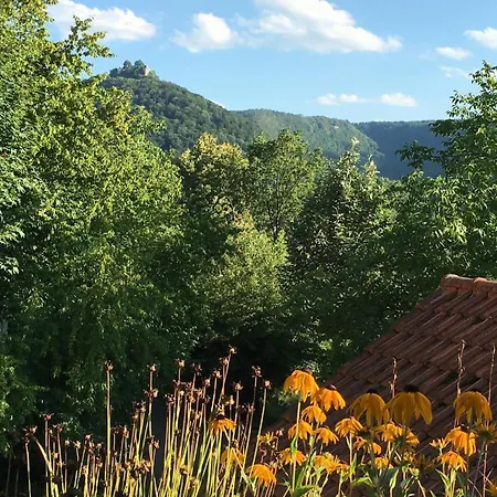 Haus Am Sonnenhuegel Appartamento