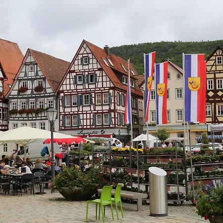 Haus Am Sonnenhügel Apartment