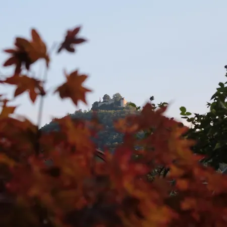 Haus Am Sonnenhügel Apartment